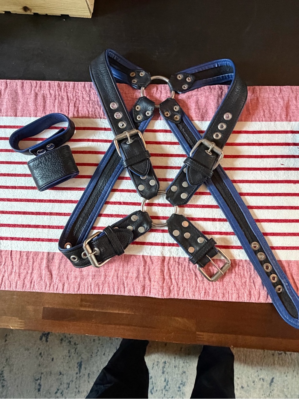 Northbound Leather Black and Blue Leather Harness Set - Unbranded